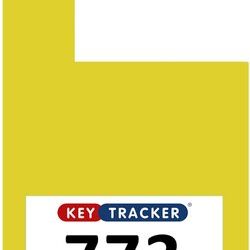 rsz_large-mirror-hanger-yellow-1